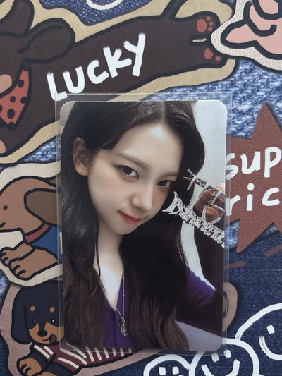 正規一ㅣ快閃鯊魚夾柚