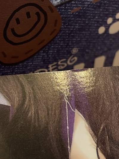 正規一ㅣ快閃鯊魚夾柚