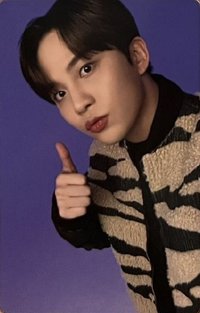 DICON寫真 周邊卡 