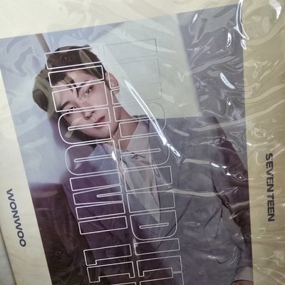 SEVENTEEN 演唱會周邊 INCOMPLETE 圓佑寫真