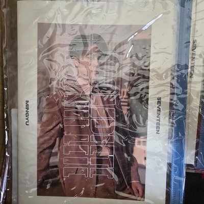 SEVENTEEN 演唱會周邊 INCOMPLETE 珉奎寫真