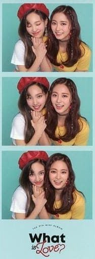 迷五 人生四格卡 