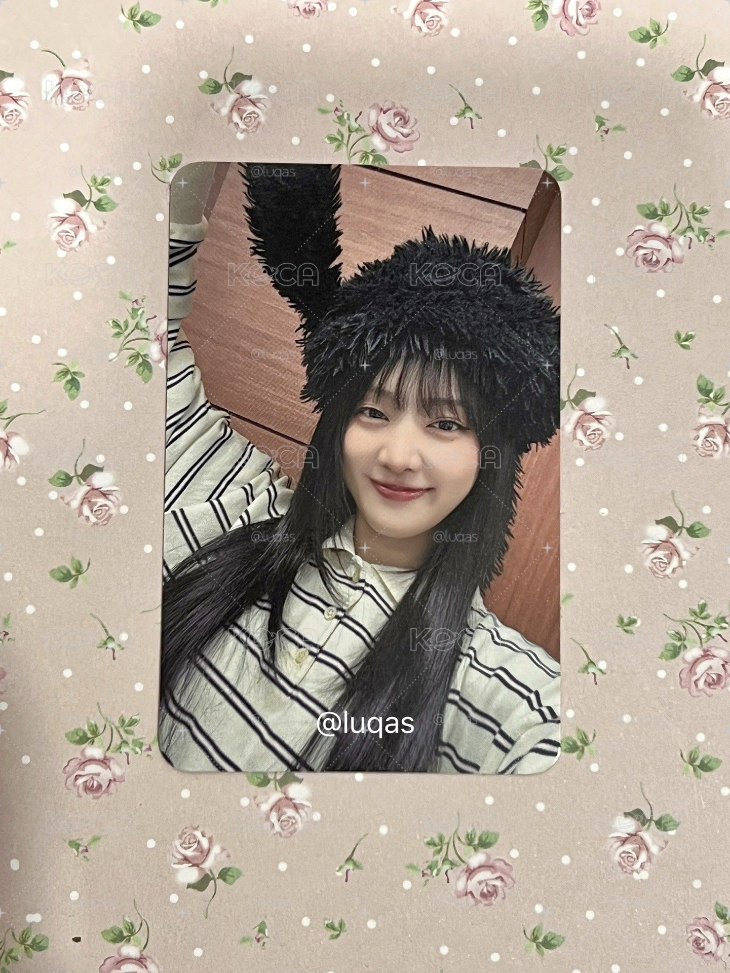 兔兔毛毛帽帽妮