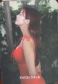 舊DICON 日版 雜誌卡 