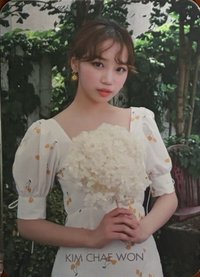 舊DICON 日版 雜誌卡 