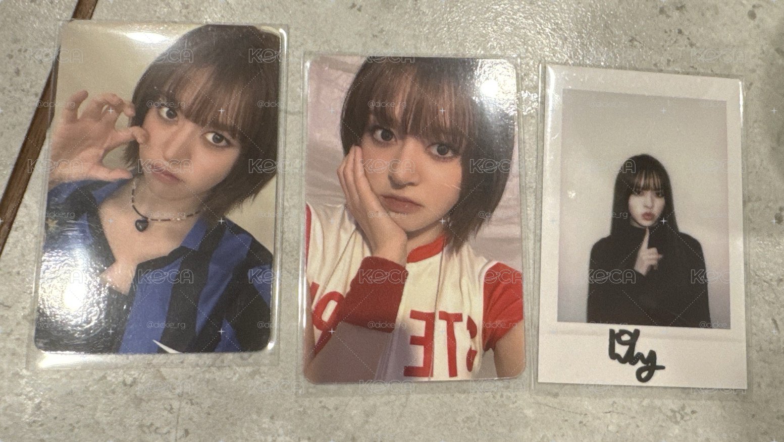 校慶莉set