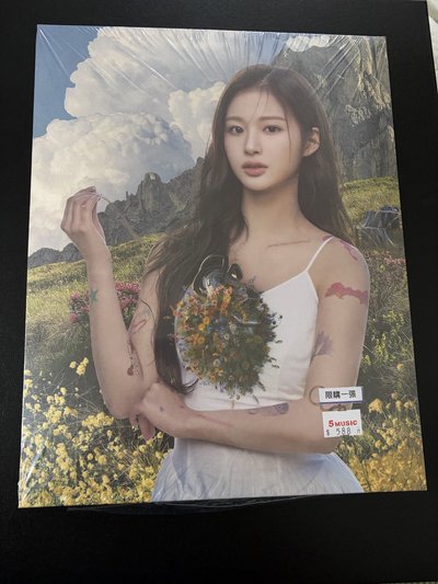 薛已拆油畫（全專）+綁限量戒指專（無戒指）