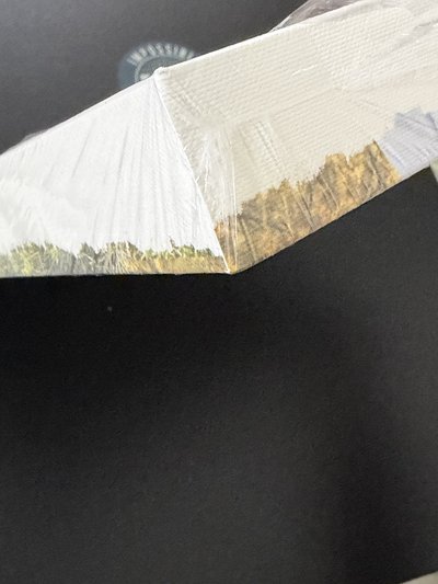 薛已拆油畫（全專）+綁限量戒指專（無戒指）