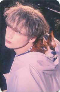 迷六 mp PB版 特典卡 