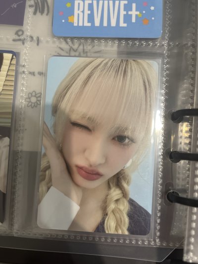 四期會員禮 栗set/單卡