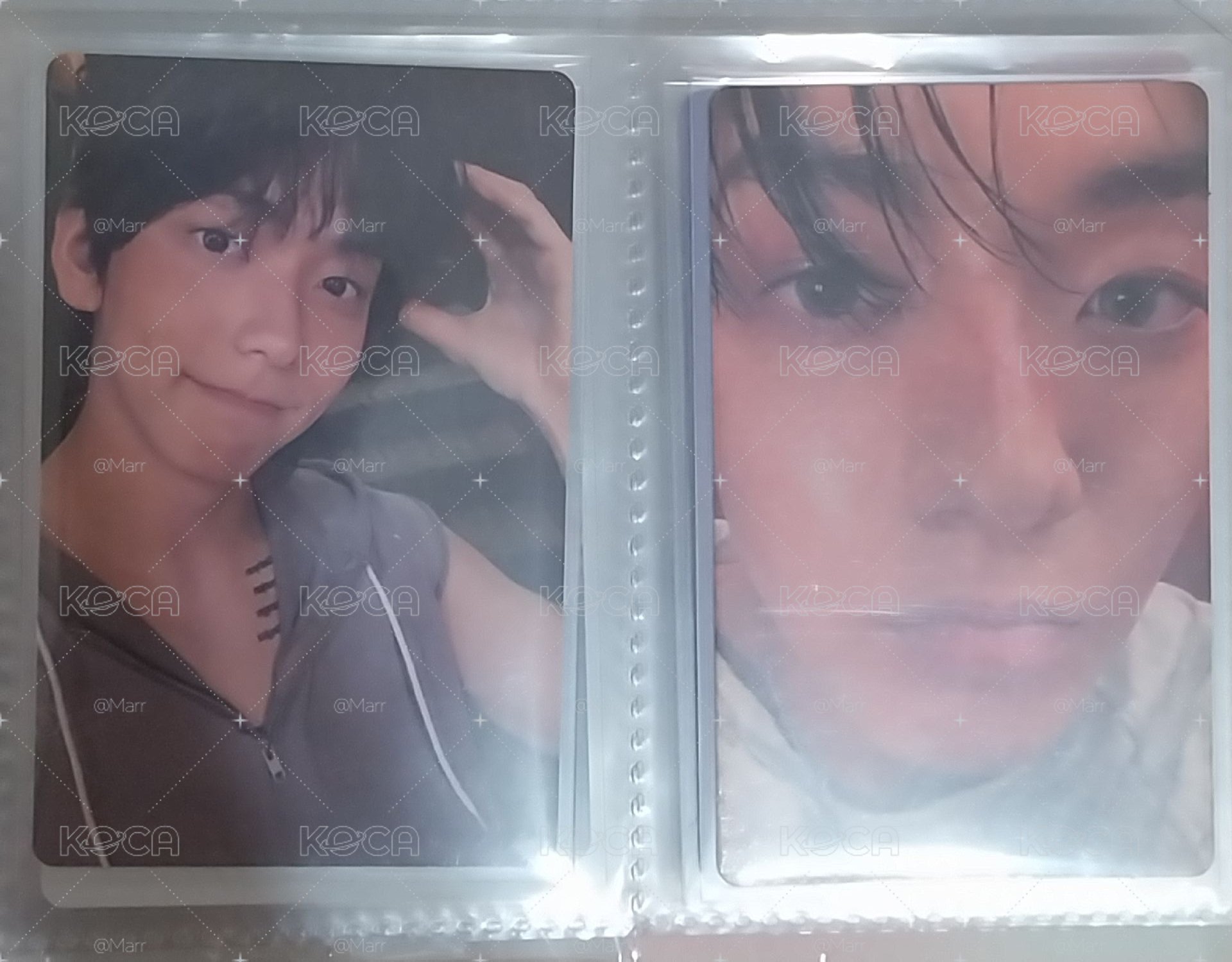 小狗彬
