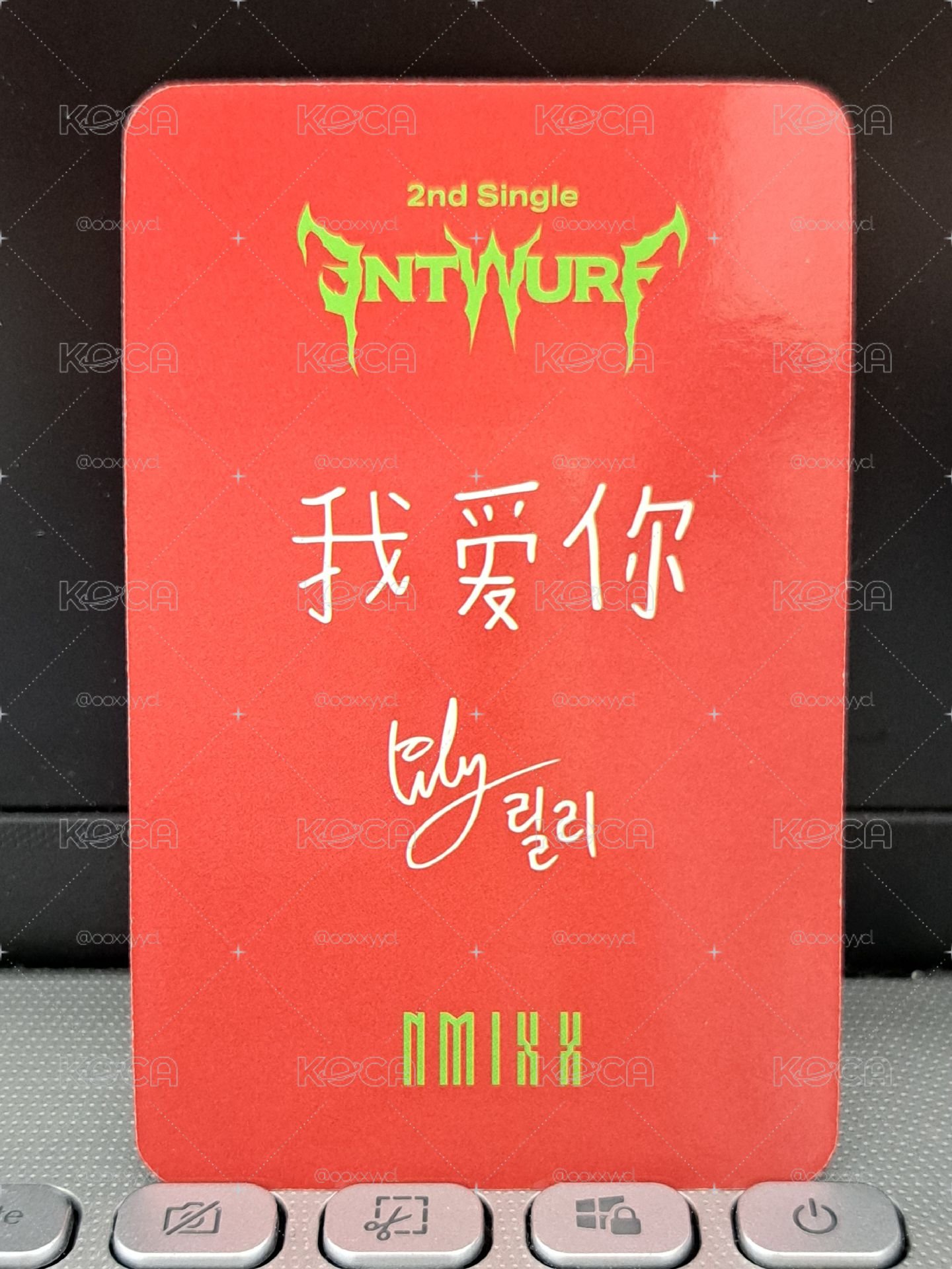 ENTWURF 星河莉 我愛你
