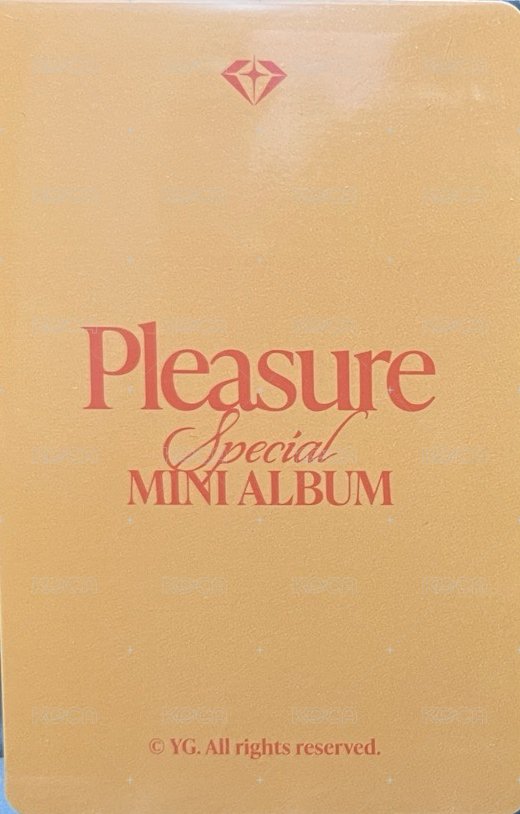 PLEASURE yg線下 特典卡  背面