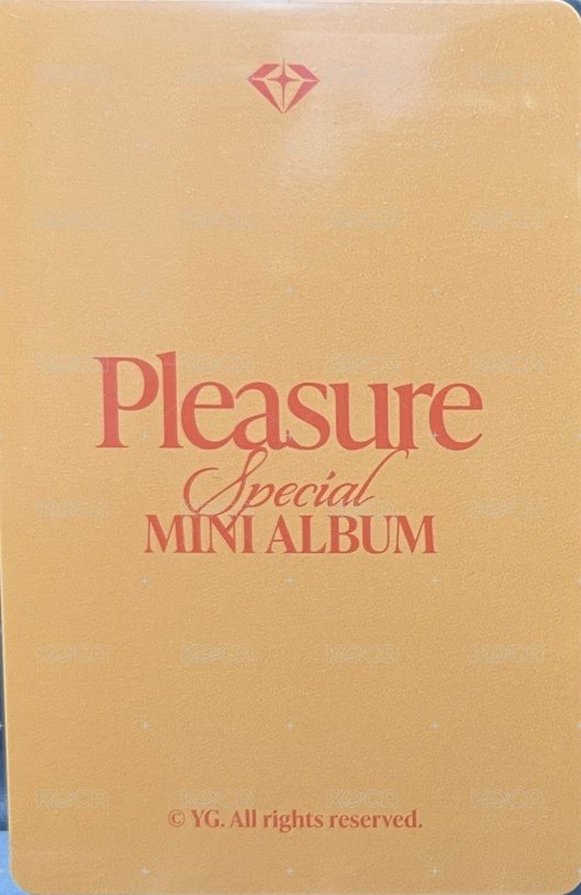 PLEASURE yg線下 特典卡  背面