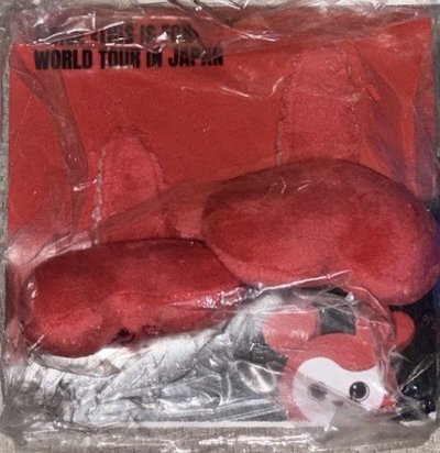 日巡髮夾 彩瑛🍓