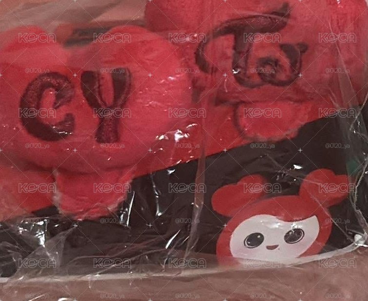 日巡髮夾 彩瑛🍓