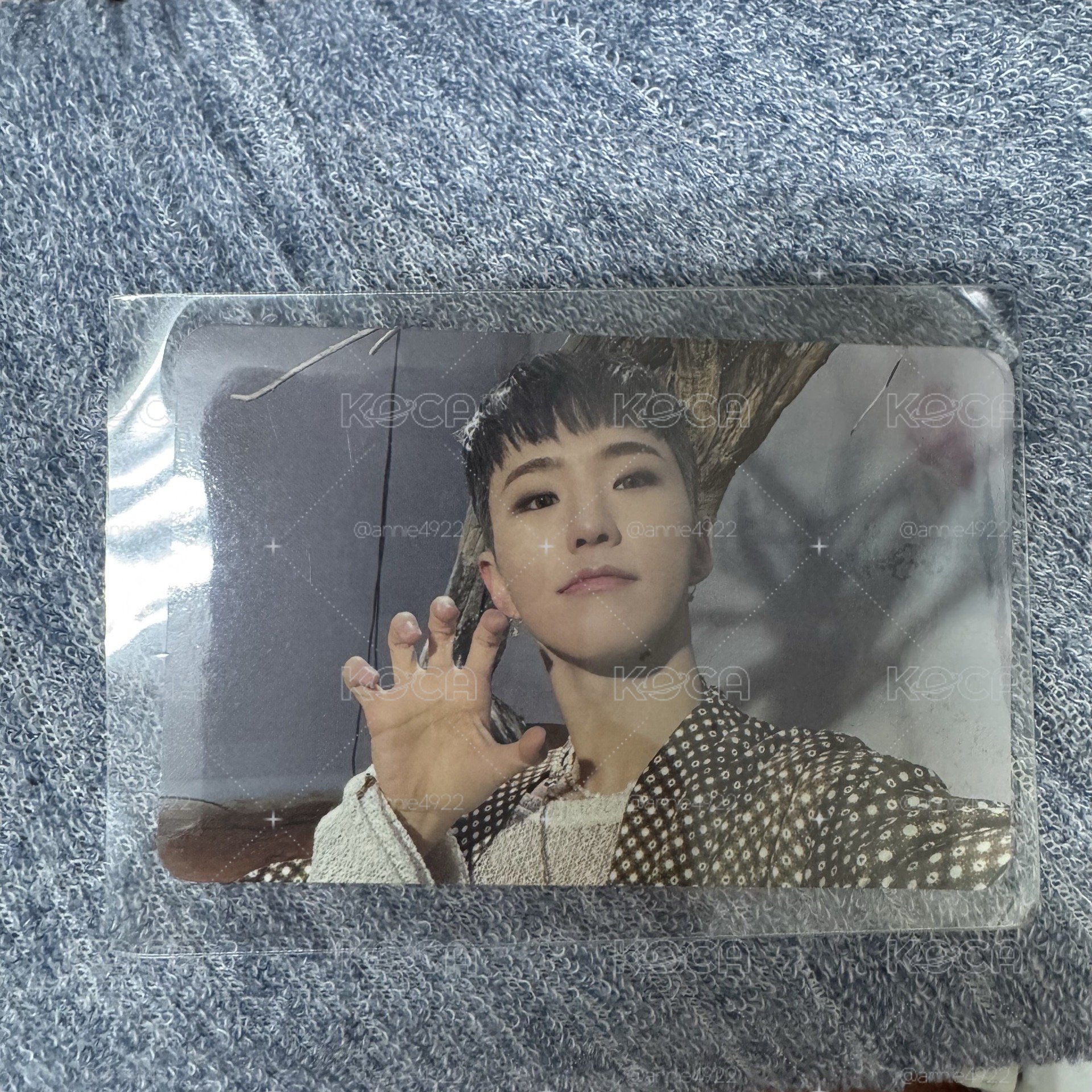 正四 虎爪榮 hoshi