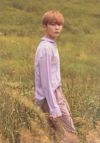 MINI5 KiT ver. 明信片 