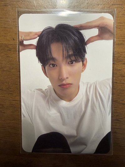 SEVENTEEN 精選專 CARAT VER