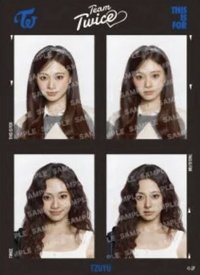 六巡 貼紙 證件照貼紙