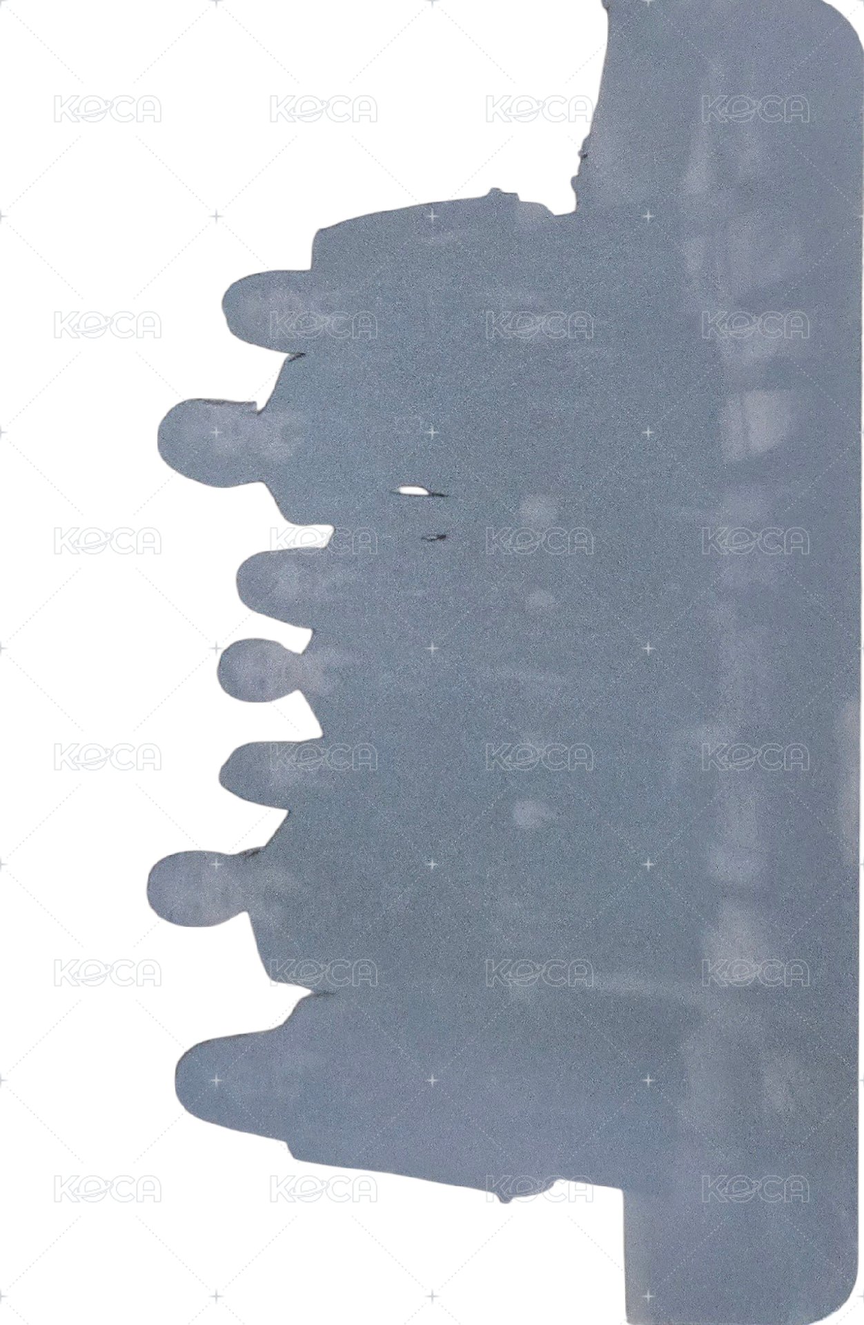 特別一輯 專輯卡 (限量專透卡) 背面