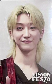 VISION FESTA 入場卡 / 場限卡 