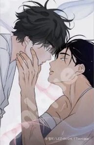 Toonique×香味的界線 透明卡 