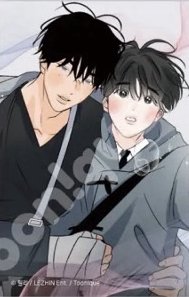 Toonique×香味的界線 透明卡 