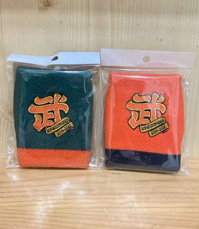 CPBL潘武雄｜最後一武｜護腕