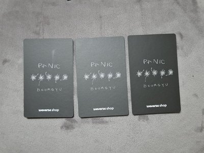 圭圭panic wvs特典🧸