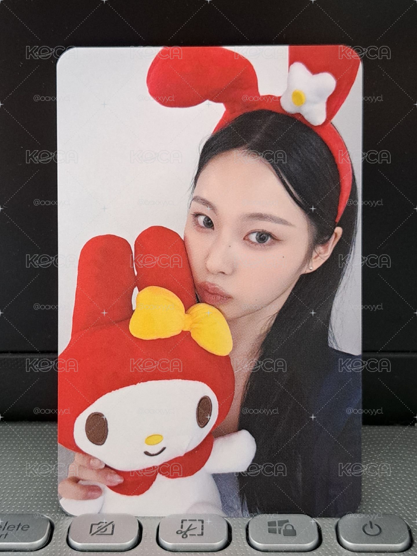 ms 兔子角色圭