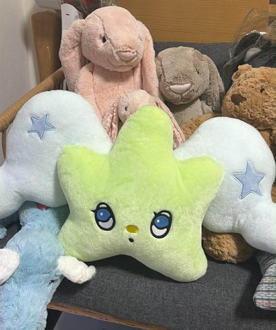 Nct wish Wichu大抱枕+ wichu 未拆專