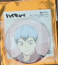 新吉祥物徽章 徽章 新吉祥物徽章