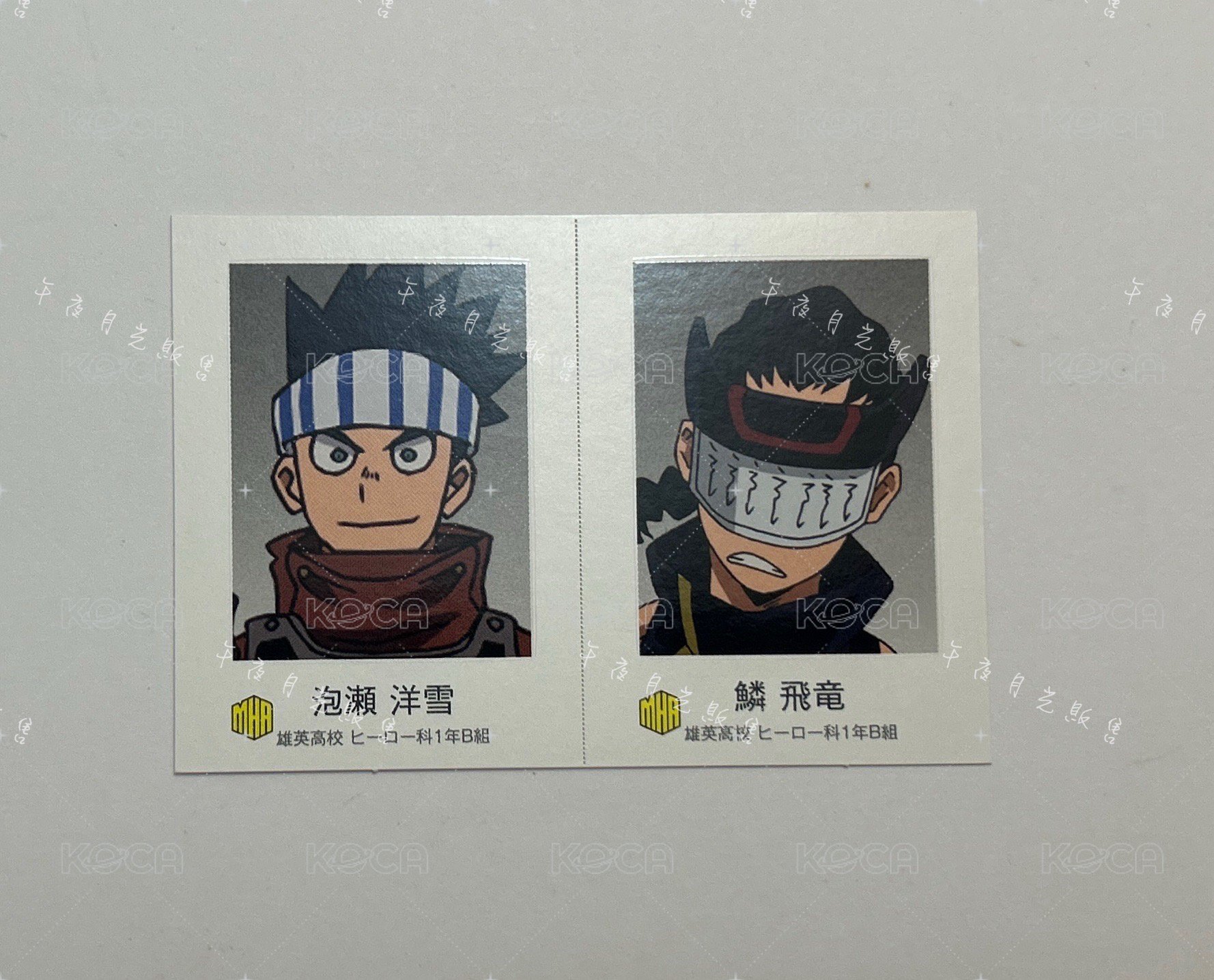 B班 鱗飛龍《單售優先，不可被綁》