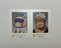 回復女孩&弗拉德老師（可被綁）