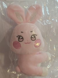 咚星抱抱娃（無卡）