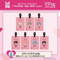 TinyTAN BWL 行李吊牌 SEGA一番賞 F賞