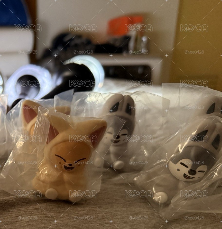 轉蛋燦寅