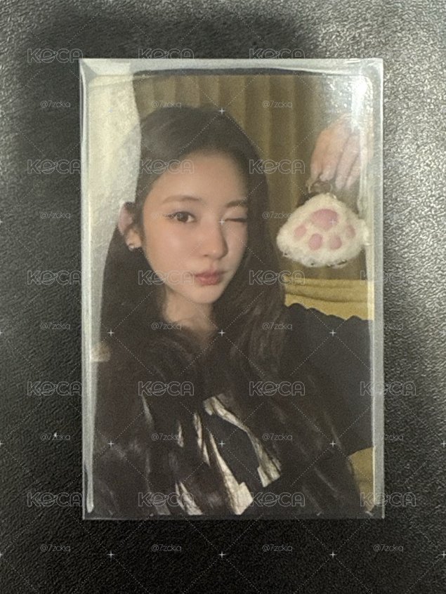 Anna貓抓專卡