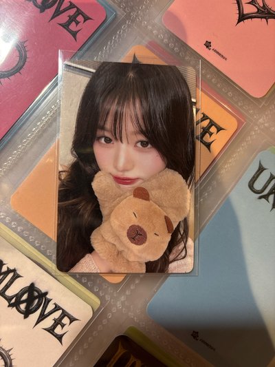 ｛需綁本賣場$500｝一直娛卡皮巴拉員《你和我們漂亮》