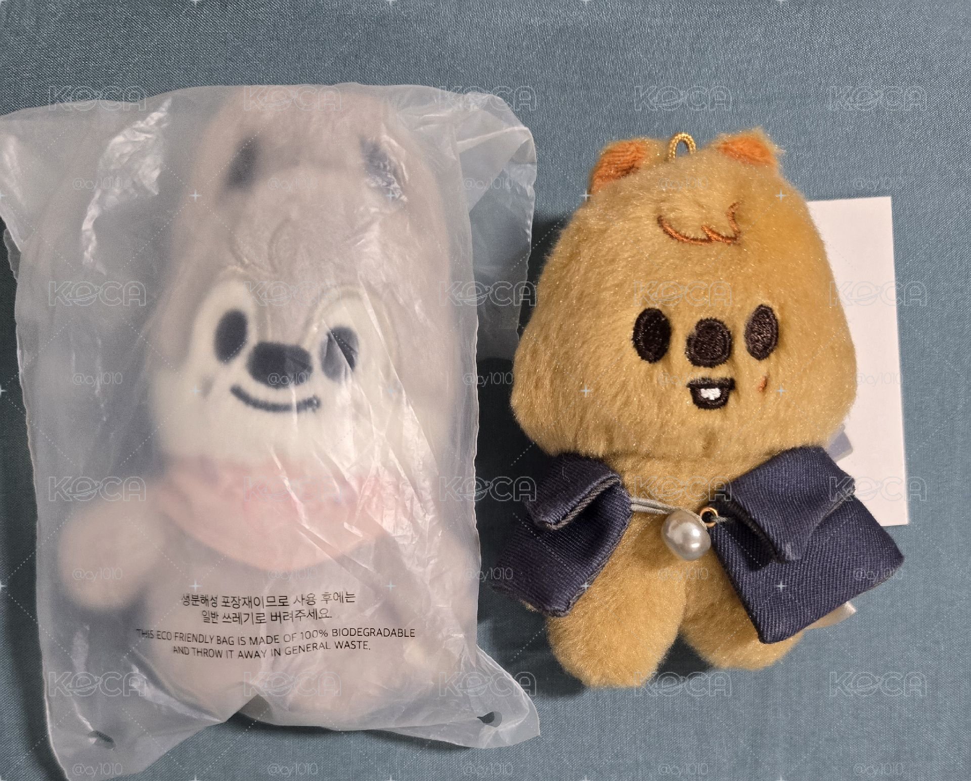 燦豆豆眼 全新未拆