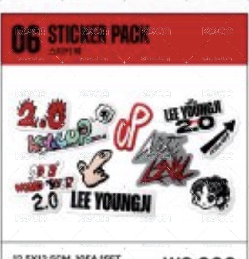 🍄泳知 2026 YOUNGJI WORLD TOUR VERSION 2.0 貼紙包
