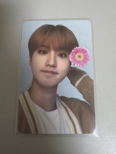 SKZ｜韓知城戴花花