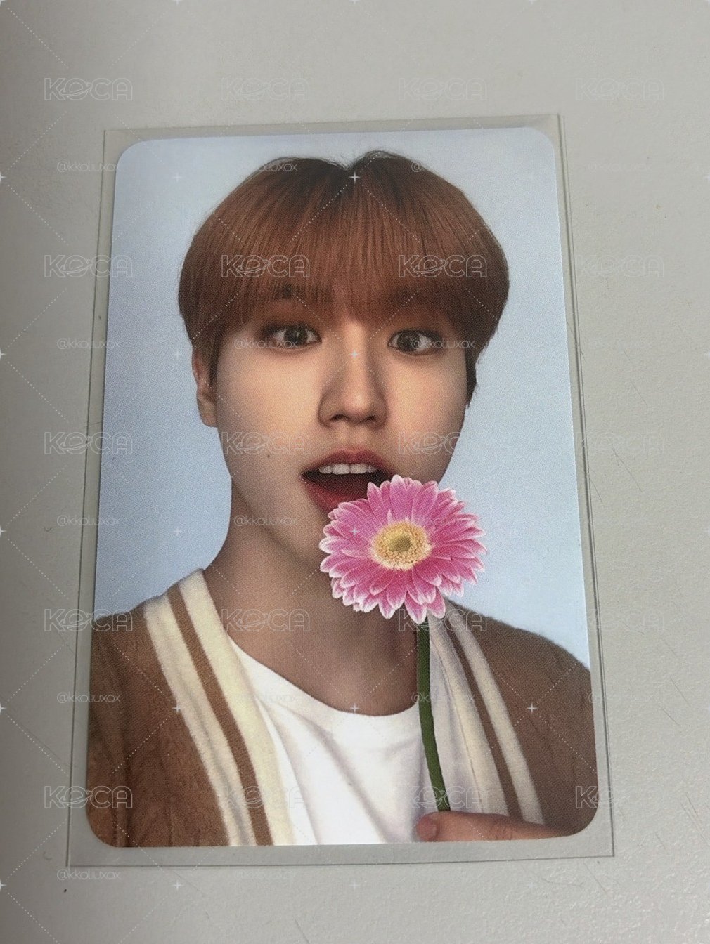 SKZ｜韓知城戴花花