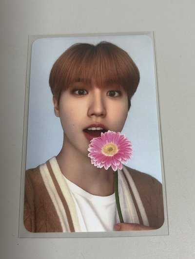 SKZ｜韓知城戴花花