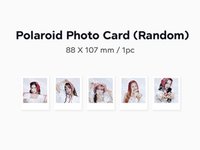 2026年曆 隨機拍立得