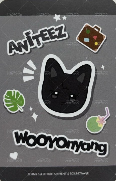 ANITEEZ IN THE CALLING 周邊卡 LUGGAGE COVER S 背面