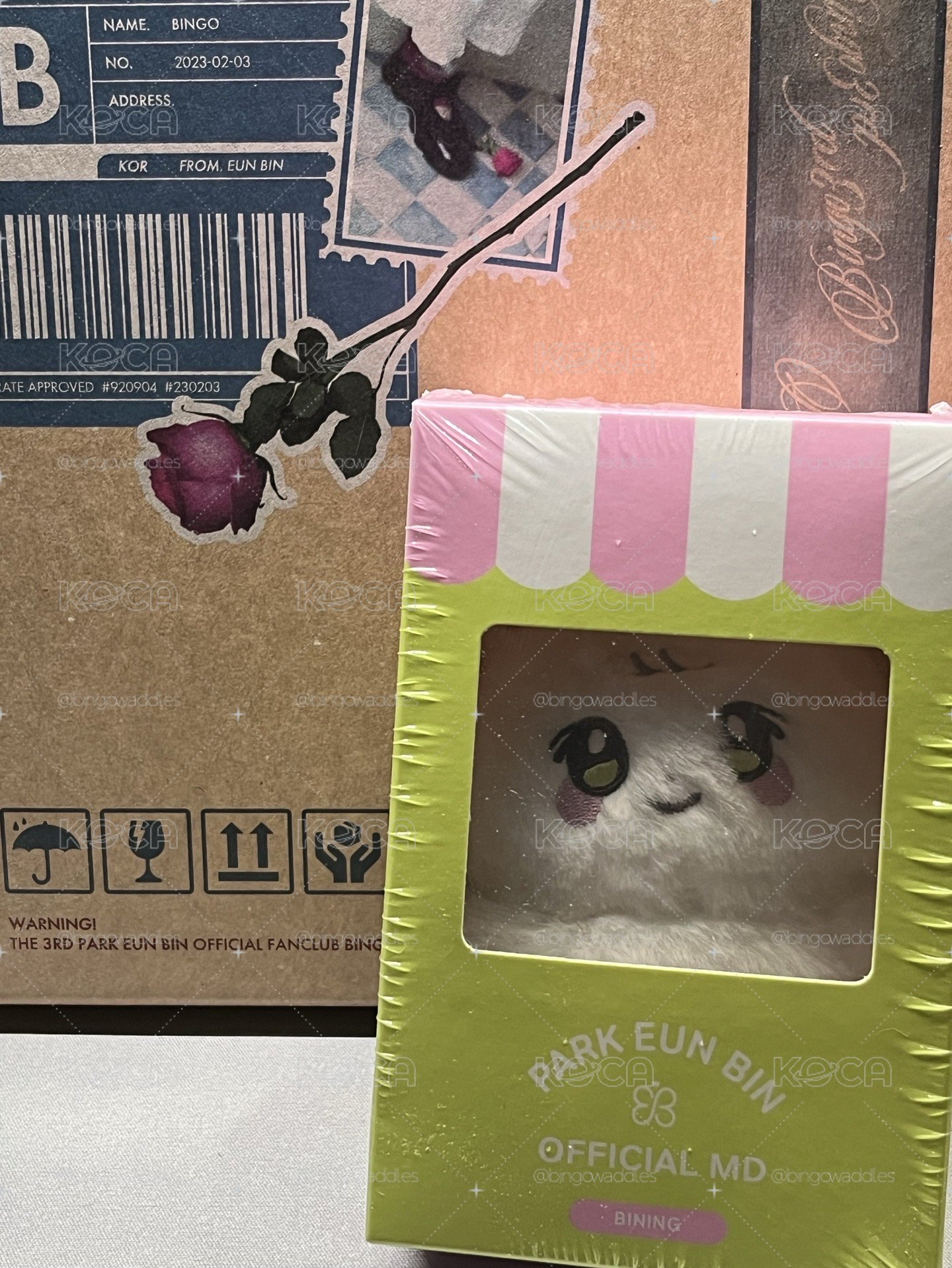 全新✨斌尼娃