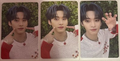 Stray kids 李旻浩 MAXIDENT bdm yes24 特典卡 