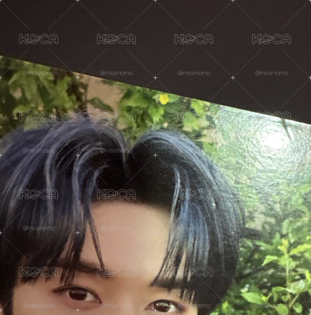 Stray kids 李旻浩 MAXIDENT bdm yes24 特典卡 